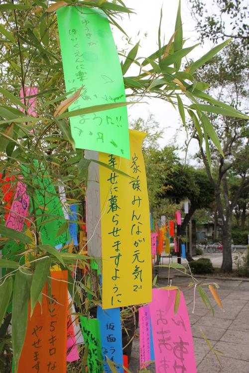 Strips of coloured card tied to a tree. Each piece of card has Japanese characters written on it.