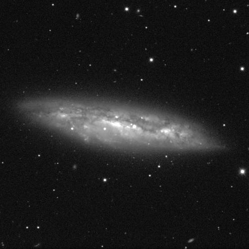 A spiral galaxy, positioned edge-on, against a black background with white dots of stars in various sizes. The galaxy resembles a flattened oval. The centre shines bright white, but it obscured by a band of dust that wraps around the galaxy. The band is various shades of grey. 