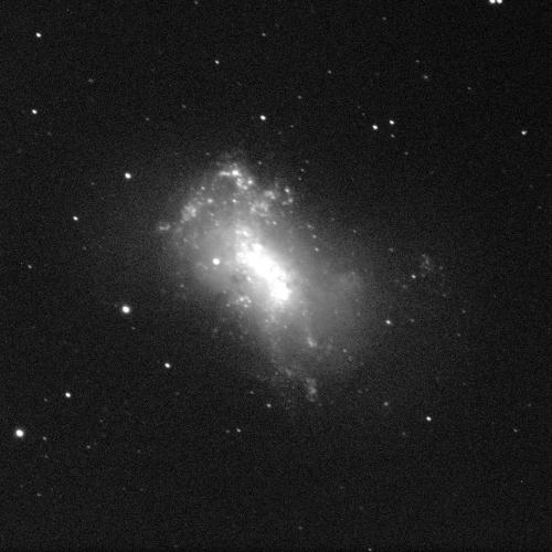 An irregular galaxy against a black background with some white dots of stars. The galaxy has a shining white centre which is a curved cylindrical shape. Grey fuzziness resembling clouds surrounds it, which some patches lighter in shades than others.