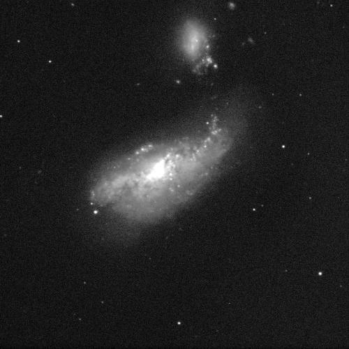 A large galaxy in the middle of the image with a small galaxy above, both against a black background with a few small white dots of stars. Both galaxies are in shades of grey, lighter in the centre, and resemble smudges. The larger one has more detail, with swirls of dust around it. It's centre glows a bright white.