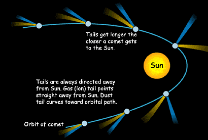 A graphic showing the curved path a comet takes around the Sun. The comet is shown at different distances from the Sun in its orbit, and there are streaks of blue and yellow depicting the comets tail. The angle of these change in each position so that the streaks point away from the Sun. The text reads "Orbit of comet. Tails are always directed away from Sun. Gas (ion) tail points straight away from Sun. Dust tail curves toward orbital path. Tails get longer the closer a comet gets to the Sun."