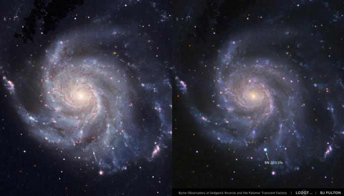 A double side-by-side image showing spiral galaxy M101 against a black background. In both images of it, there is a small, bright, orange/yellow, circular centre and grey/blue/purple arms spiral outwards from it. There are bright spots of reds and whites scattered throughout. An arrow on each image points towards the end of one of the spirals at the bottom centre of the galaxy. On the left, only the cloudy spiral is visible. On the right, a bright white/blue dot has appeared. It is labelled "SN 2011fe".